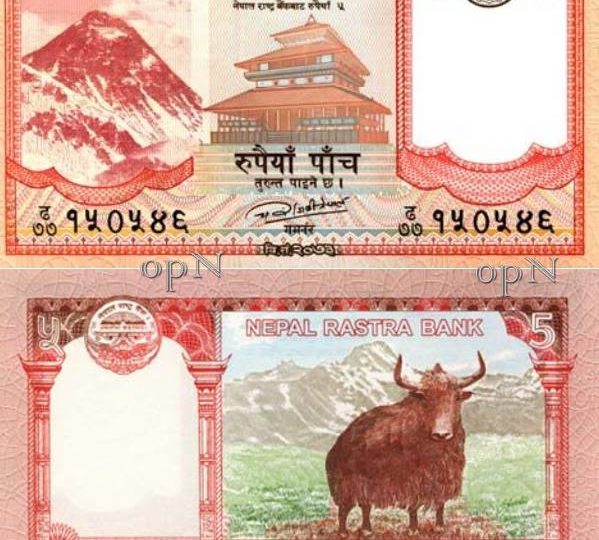 The Wild Yak on the 5-Rupee bank note