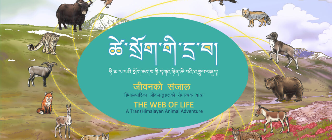 Cover Web of life